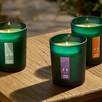 Breathe Eucalyptus & Rosemary Renewing Scented Candle