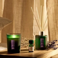 Sleep Lavender & Vetiver Relaxing Fragrance Diffuser