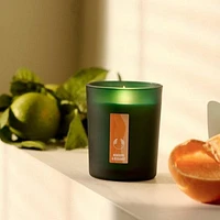 Boost Mandarin & Bergamot Uplifting Scented Candle