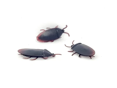 Probably not the Met Gala Cockroach 1.5in Better Quality