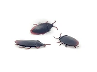 Probably not the Met Gala Cockroach 1.5in Better Quality