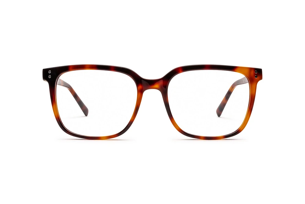WILL-3010
