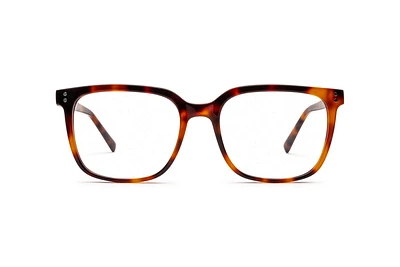 WILL-3010