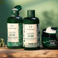 Tea Tree Purifying & Balancing Conditioner 250ml