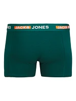 Scott Boxer Shorts: Green