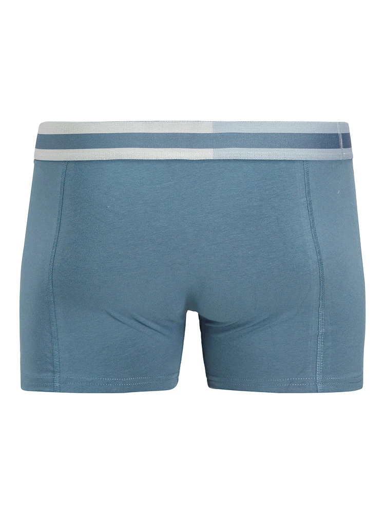 STEVE Blue boxer shorts