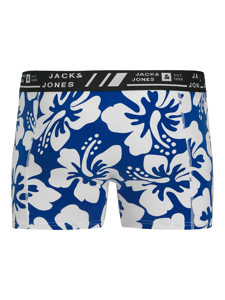 Boxer court Hawaii : Blue Print