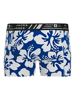 Boxer court Hawaii : Blue Print
