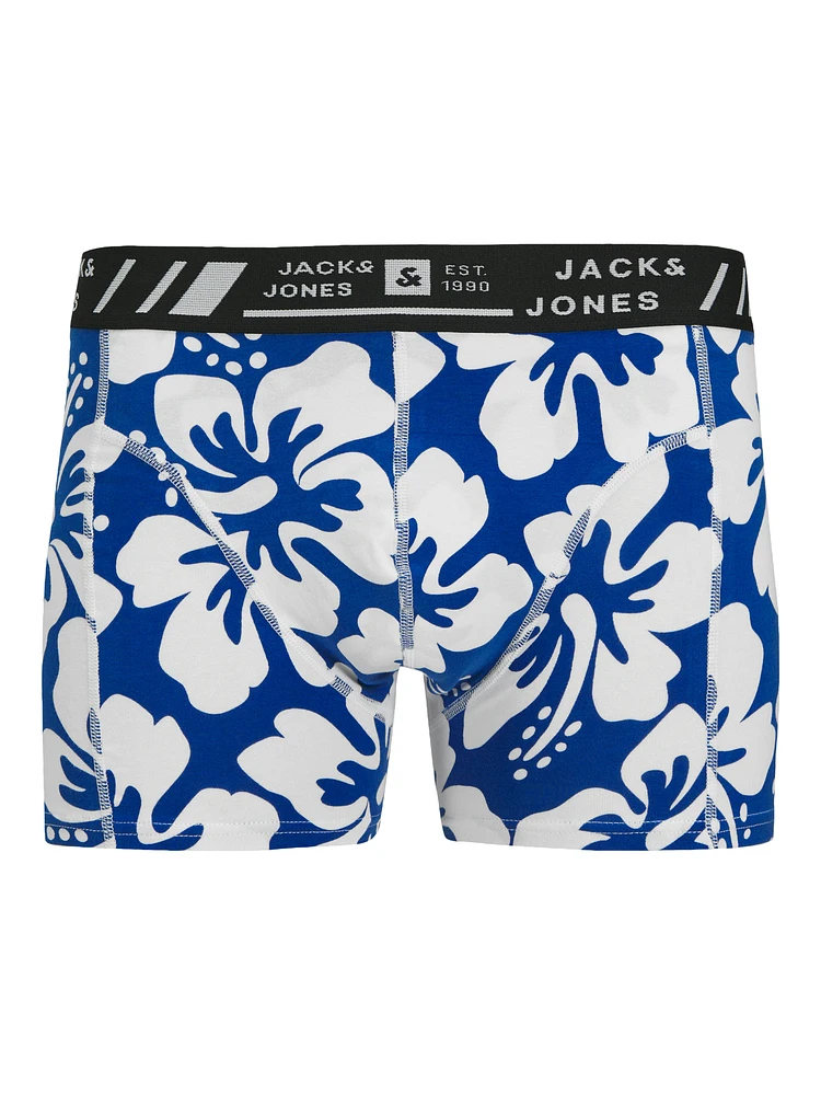 Boxer court Hawaii : Blue Print