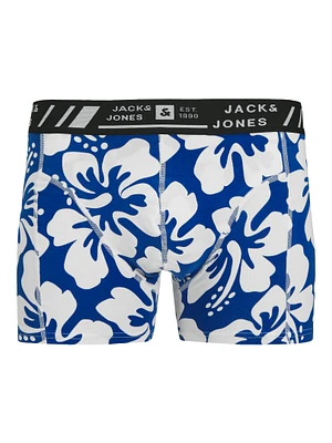 Boxer court Hawaii : Blue Print