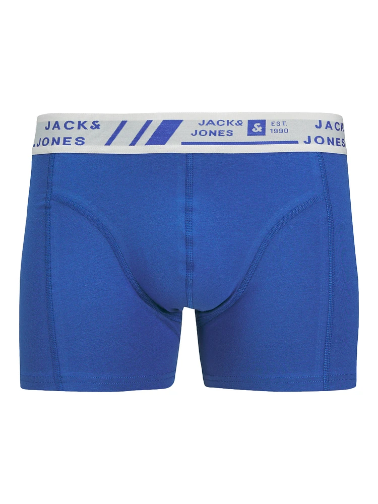 Boxer court Hawaii : Blue