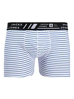 Boxer court Hawaii : Blue Stripe