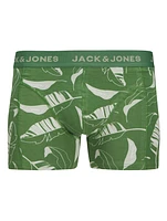 Boxer court Cabanas : Dark Ivy
