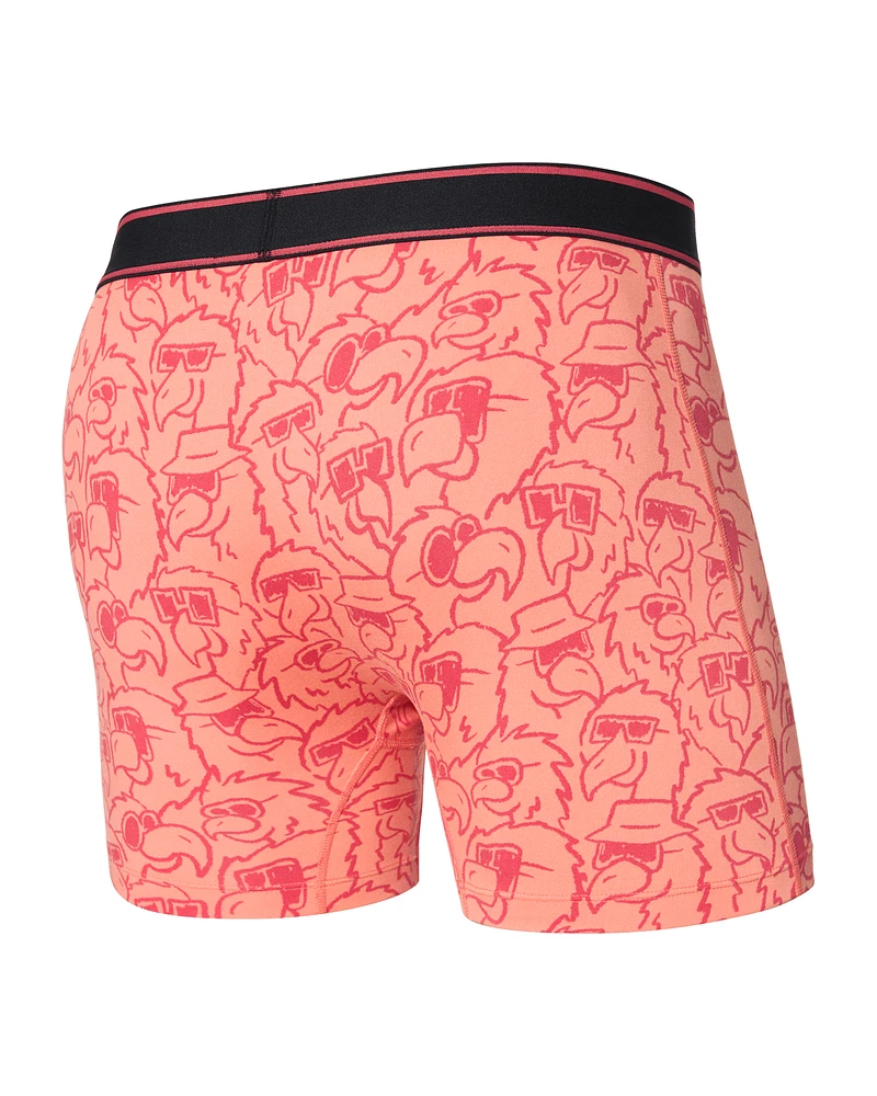 Saxx - Daytripper Boxer Brief : Parrot Party