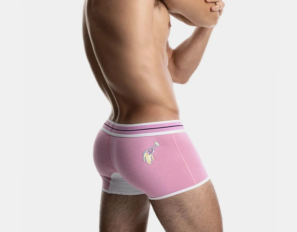 Boxer court Space Candy