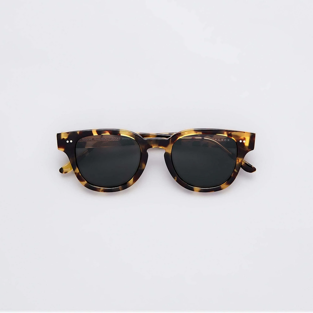 Esquire Sunglasses