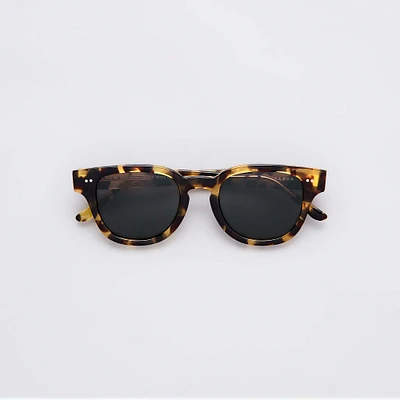 Esquire Sunglasses