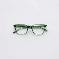 Kane - Parakeet Glasses 