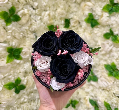 XS Round Fairytale Garden