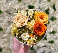 Small Round Eternal Garden