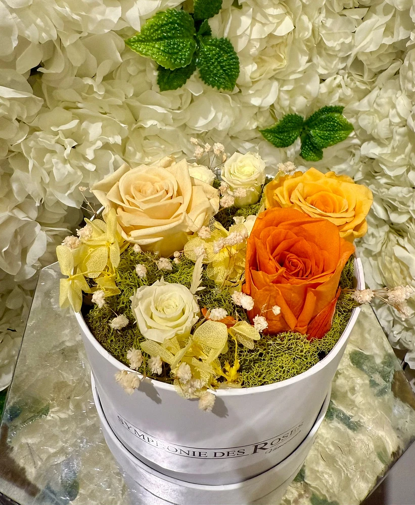 Small Round Eternal Garden