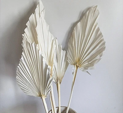 White Dry Palm Leaves - 5 stems