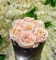 Tall Marble Round Bucket