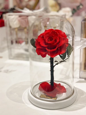Medium Enchanted Glass Dome
