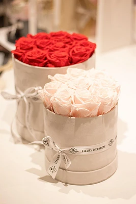 Rose Suede