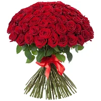 Red Velvet 100 Fresh Flowers