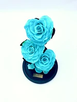 Eternity 3-in-1 Heart Rose Enchanted Glass Dome