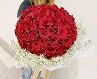 Red Velvet 99 with Baby's Breath - Fresh Flower