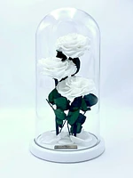 Eternity 3-in-1 Heart Rose Enchanted Glass Dome