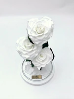Eternity 3-in-1 Heart Rose Enchanted Glass Dome