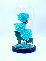 Eternity 3-in-1 Heart Rose Enchanted Glass Dome