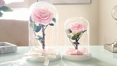 Small Enchanted Glass Dome