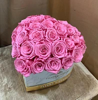 Super Dome Deluxe Marble Heart