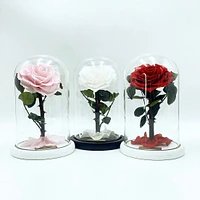 Medium Enchanted Glass Dome