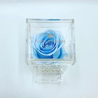 Luxe Crystal Rose Vanity