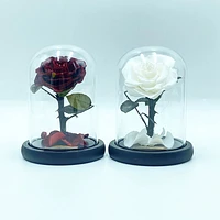 Small Enchanted Glass Dome