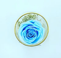 One Love in Round Glass Vase