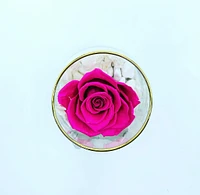 One Love in Round Glass Vase