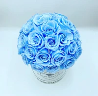 Superdome Classic Rose Bucket
