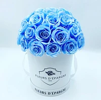 Superdome Classic Rose Bucket