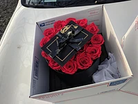 Elegance Prestige Rose Bucket