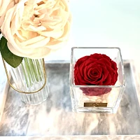 Lush Jumbo Rose in Square Glass Vase
