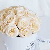 Prestige Rose Bucket - Small