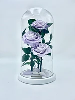 Eternity 3-in-1 Rose Enchanted Glass Dome