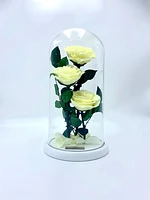 Eternity 3-in-1 Heart Rose Enchanted Glass Dome
