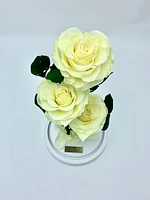Eternity 3-in-1 Heart Rose Enchanted Glass Dome